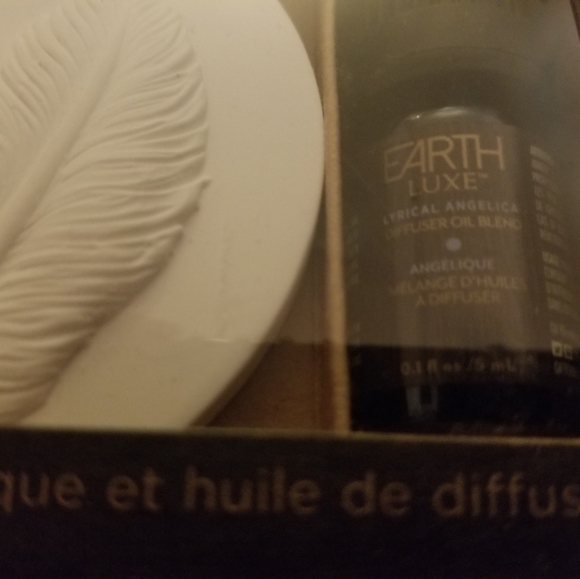 Earth Luxe Diffuser Stone Gift Set - Picture 2 of 5